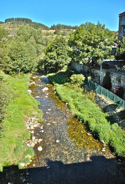 Au Parfum Des Bois Hotel Saint-Cirgues-en-Montagne ภายนอก รูปภาพ